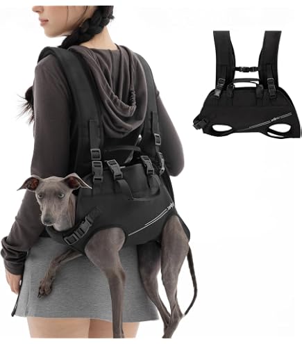 Amazon | GIIPET-犬用リフトハーネス 全身犬用バックパックハーネス 犬
