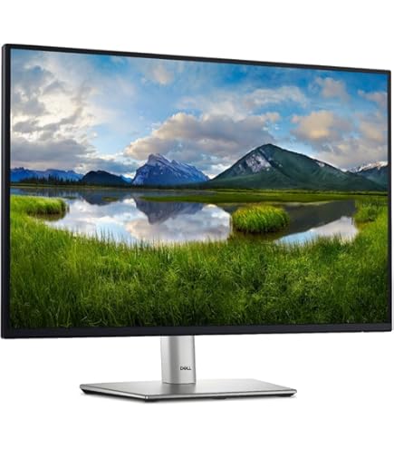Amazon.co.jp: Dell P2425HE 23.8インチ USB-C ハブ モニタ /1920×1080