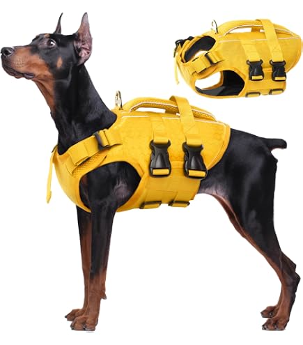 Amazon | EZYDOG(イージードッグ) [正規代理店品] DFDスタンダード