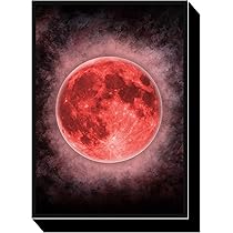 Amazon | キャラクタースリーブコレクション 大帝国 「帝