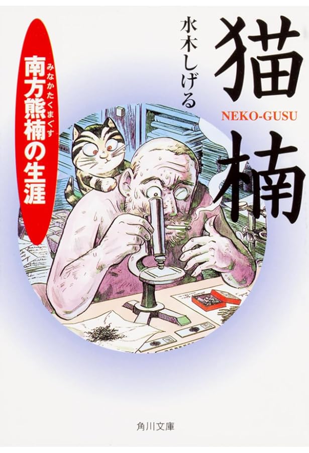 Amazon.co.jp: 水木しげるのニッポン幸福哀歌 (角川文庫 み 18-6