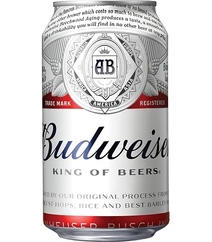 Amazon.co.jp: FUJI PREMIUM BREWING ラガービール 缶 350ml/48本(2