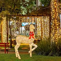 71f8QPafJTL._AC_UL210_SR210,