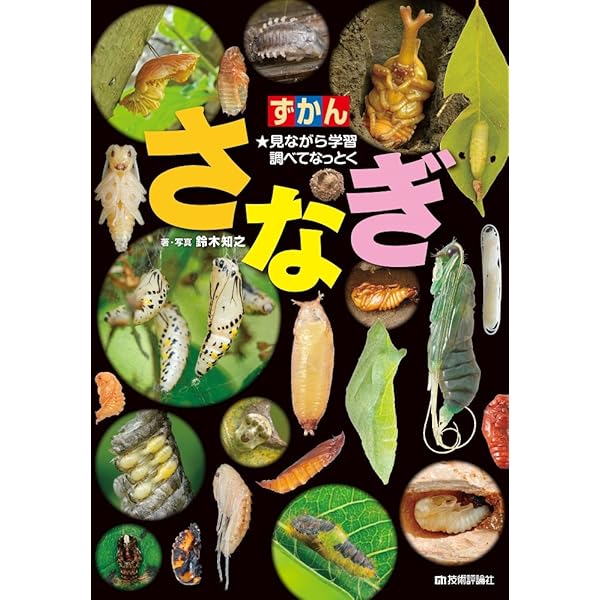 【ほぼ新品】生きかたイロイロ! 昆虫変態図鑑 生きかたイロイロ！ 昆虫変態図鑑 (単行本 330) | 川邊 透, 前畑