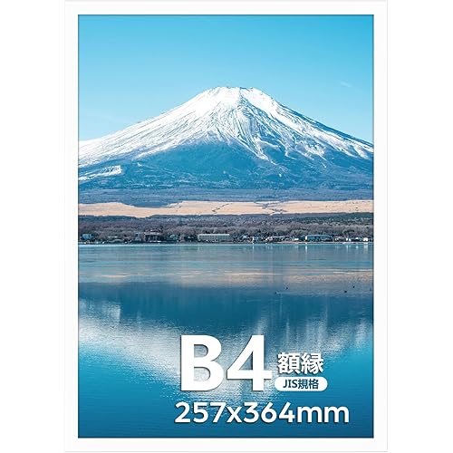 Serwrsw 額縁 B4 軽量 フォト フレーム 壁掛け 卓上両用 36.4x25.7cm ポスター 絵画 PVC製 白 1枚