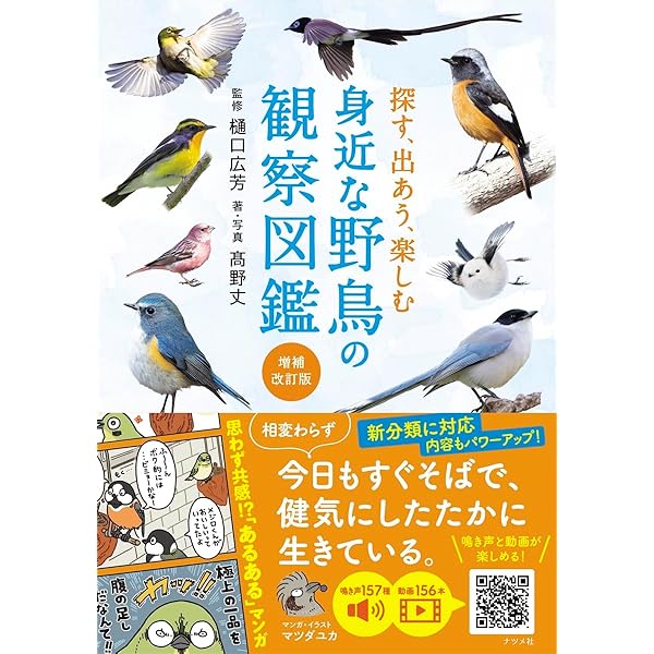 日本の野鳥セット　福音館書店 ペーパーバック版 薮内正幸 日本の野鳥セット 全6冊 (福音館の