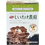シイタケ栽培キット 【もりのしいたけ農園】