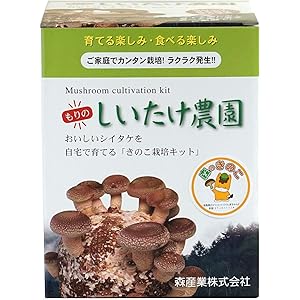 シイタケ栽培キット 【もりのしいたけ農園】