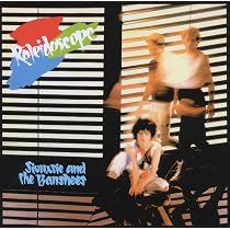 Siouxsie & The Banshees /レーザーディスク Amazon.co.jp: Kaleidoscope - Siouxsie & The Banshees: ミュージック