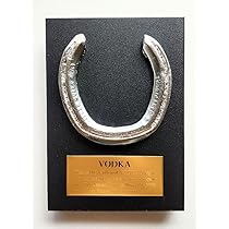 競馬　レプリカゼッケン 競馬ゼッケン(レプリカ) 競走馬ジョーメテオ 第5回フジノ