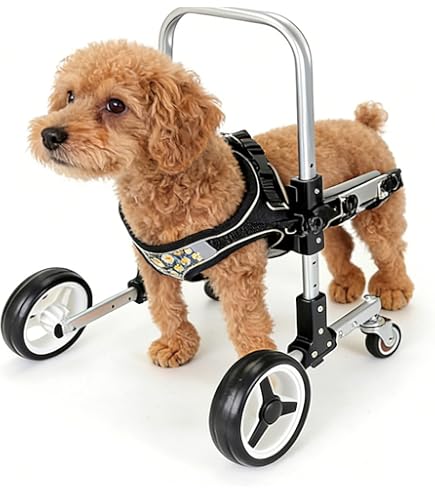 Amazon.co.jp: 犬用車椅子 四輪 軽量 安定設計 歩行補助 ペット