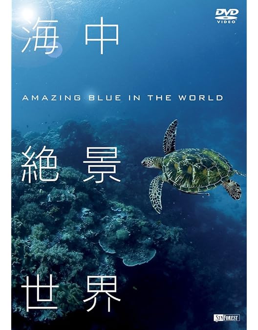 VAVAWORLD レコード 海中の風景 News | 2025-05-20 - LEX、Yo-Sea、IOが参加したJP THE WAVY