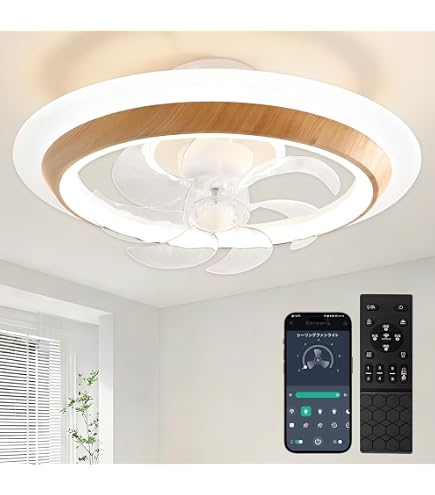 Amazon.co.jp : 【2026モデル】 LEDシーリングファンライト 12畳 14畳