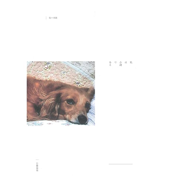 Amazon.co.jp: それを小説と呼ぶ : 佐々木 敦: 本