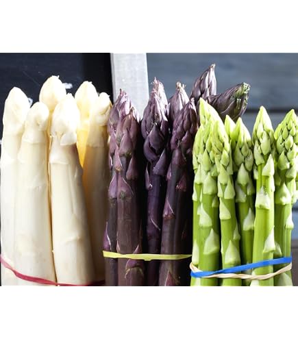 Amazon.co.jp: 冷凍 ホワイト アスパラ 1kg ( 26-35本 ) 業務用