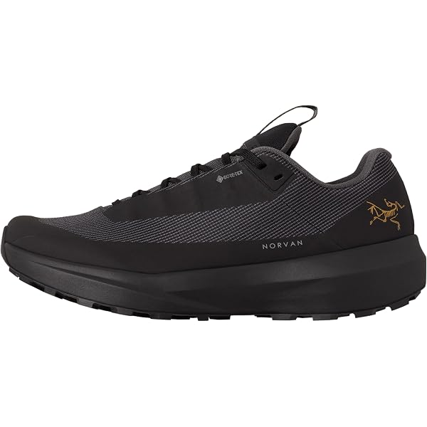 Amazon | Arc'teryx エアリオス オーラ メンズ | ハイキング