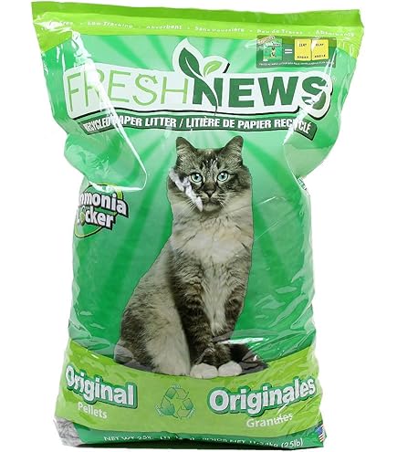 Amazon | イースター フェレットセレクション パフォーマンス