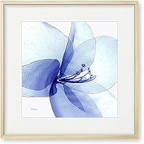 Amazon.co.jp: 絵画「光るアマリリス」インテリア 絵 花 アート