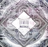 CHIMAIRA-�L�}�C��-[B-TYPE]