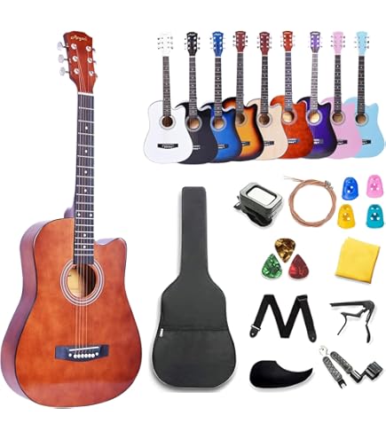 Amazon | 【アコギ定番8点セット】Fiesta by Aria FST-F65/N