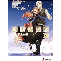 Amazon.co.jp: 狼と香辛料X (電撃文庫) : 支倉 凍砂, 文倉 十: 本