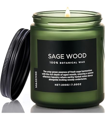 Amazon.co.jp: メ ゾン マルジェラ レプリカ レイジーサンデー