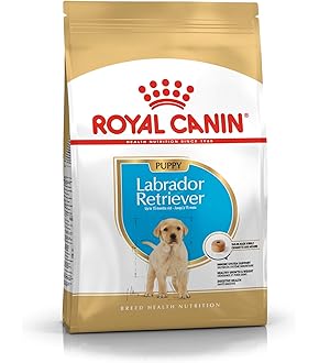 ロイヤルカナン CANIN ラブラドール・レトリーバー用 12kg×2 楽天市場】ロイヤルカナン ラブラドールレトリバー 成犬・高齢犬