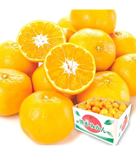 Amazon.co.jp: Kiyomi Tangor, Approx. 11.0 lbs (5 kg), For Home Use