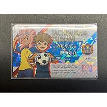 Amazon.co.jp: イナズマイレブン イレブンライセンス 立向居勇気綱海条 