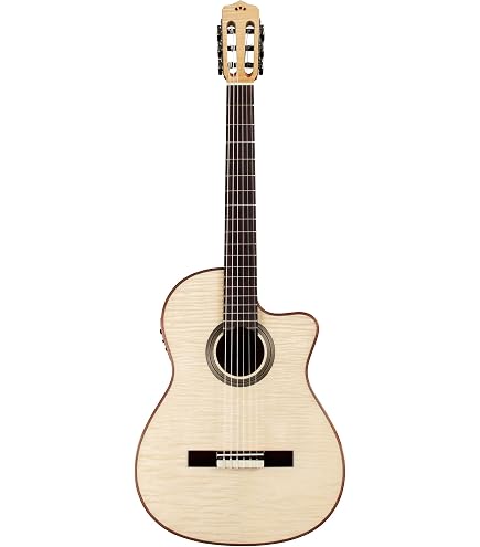 Amazon | Cordoba (コルドバギター) エレガットギター フラメンコ