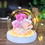 【Dear your Flowers】プリザーブドフラワー プレゼント 贈り物 2023 母の日 ギフト 誕生日 女性 ガラスドーム LEDライト付 フラワーギフト 日本製 記念日 結婚祝い ローズ フラワーアレンジ (ピンク)
