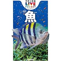 魚 新版 (学研の図鑑LIVEポケット 1) | 本村浩之(鹿児島大学総合研究