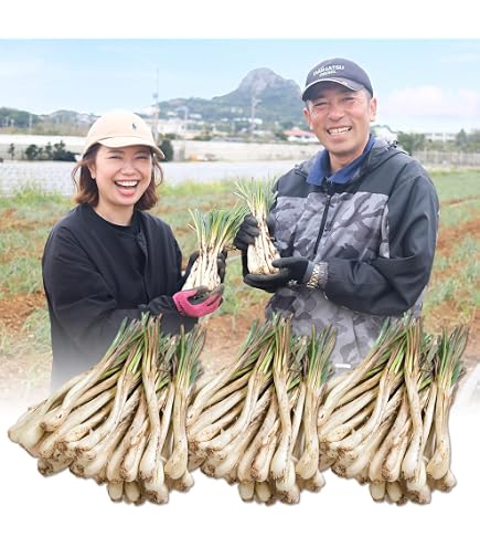 Amazon.co.jp: 【宮崎県産】泥つきらっきょう 大きさおまかせ 約5kg