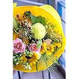[総理大臣賞受賞デザイナー監修] デザイナーおまかせ 生花の花束 3Lサイズ (イエロー&オレンジ) (卒業祝い/退職祝い/送別会/ホワイトデー/ラッピングしてお届け/ウィンターギフト/お誕生日/結婚記念日/お祝い) [秦野市の花屋 フローリストせき