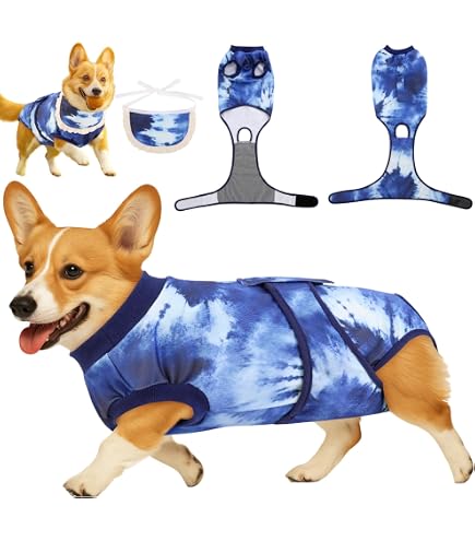 犬猫 服 回復スーツ 外科用ワンジー 回復用服 ブルー Mサイズ Amazon | 犬用リカバリースーツ、術後着用 ペット用、男性用女性用