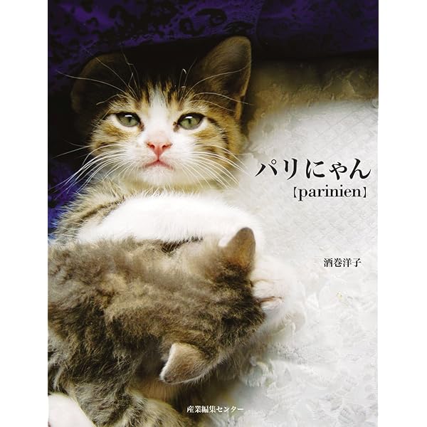 Amazon.co.jp: パリにゃんⅡ : 酒巻洋子: 本