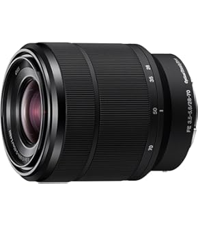 Amazon.co.jp: Sony Digital Camera Sony 