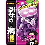UHA味覚糖 忍者めし鋼 グレープ 45g×10袋