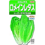 実咲野菜 レタス ロメインレタス コスレタス 小袋003028
