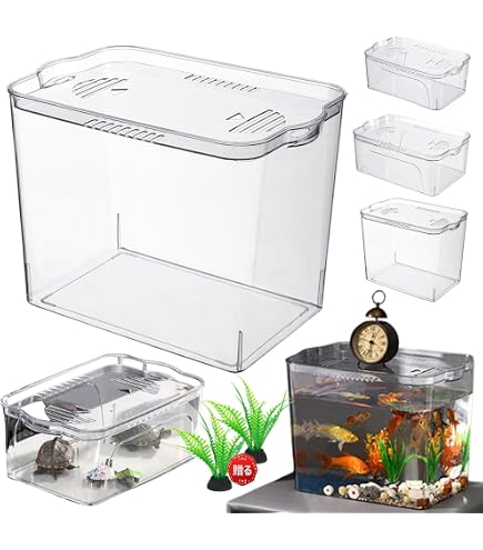 Amazon | メダカ舟 黒容器 白容器 14L 水槽 トロ舟 トロファスト 飼育