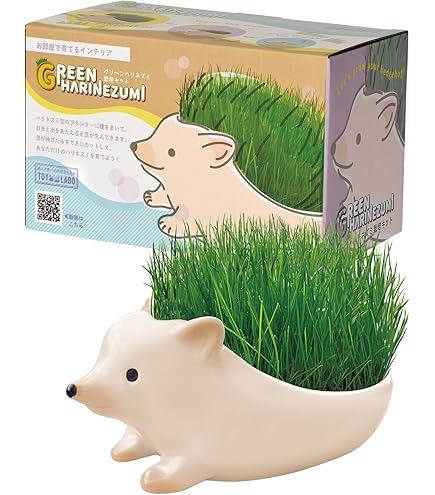 キラ    ハリネズミ育成セット Amazon.co.jp: クローバー 栽培キット グリーンハリネズミ TOY-8-02