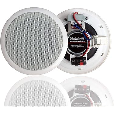 ENERGY EAS-6W 壁/天井スピーカー　2個セット Amazon.co.jp: Herdio 300W Bluetooth 天井埋め込み型スピーカー