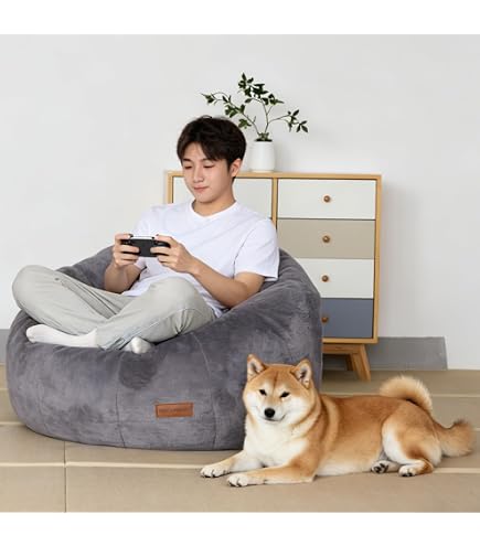 Amazon.co.jp: ビーンバッグチェア ビーズソファ ビーズクッション 1人