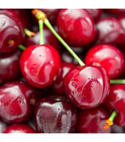 Amazon.co.jp: オーストラリア・チリ産チェリー空輸 大粒 9.5〜10row
