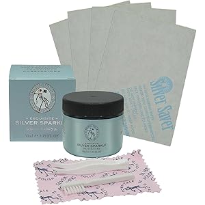 [トライディア] ジュエリー アクセサリー クリーナー&メンテナンス キット(銀専用 シルバースパークル50mL)