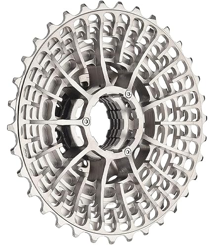 Amazon | スラム「SRAM」X-Sync Chain Ring 1x11s110-44T Apex1