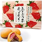 ほがや 福岡土産 あまおう苺チョコクッキー 20個入り