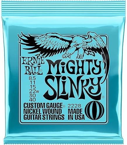 Amazon | 【正規品】 ERNIEBALL ピック カモフラージュ ヘヴィ 12枚