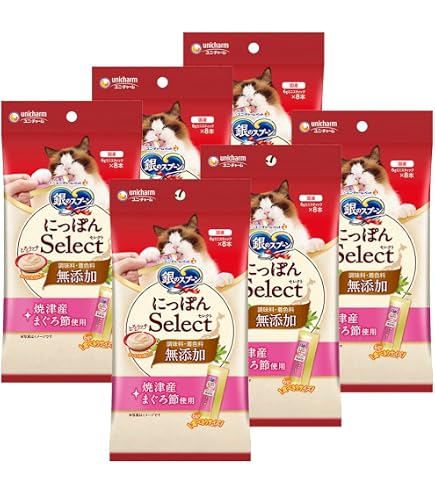 Amazon.co.jp: 銀のスプーン 三ツ星グルメおやつ にっぽんSelect とろ