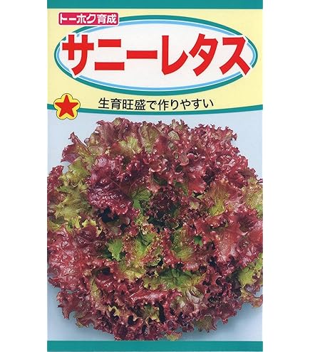 Amazon.co.jp: tohok sunny lettuce : DIY, Tools & Garden